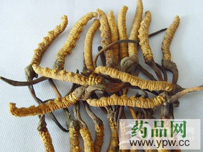 �����n�б�����x��