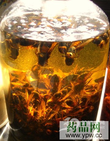 �U������ˎ�ƺȳ�����